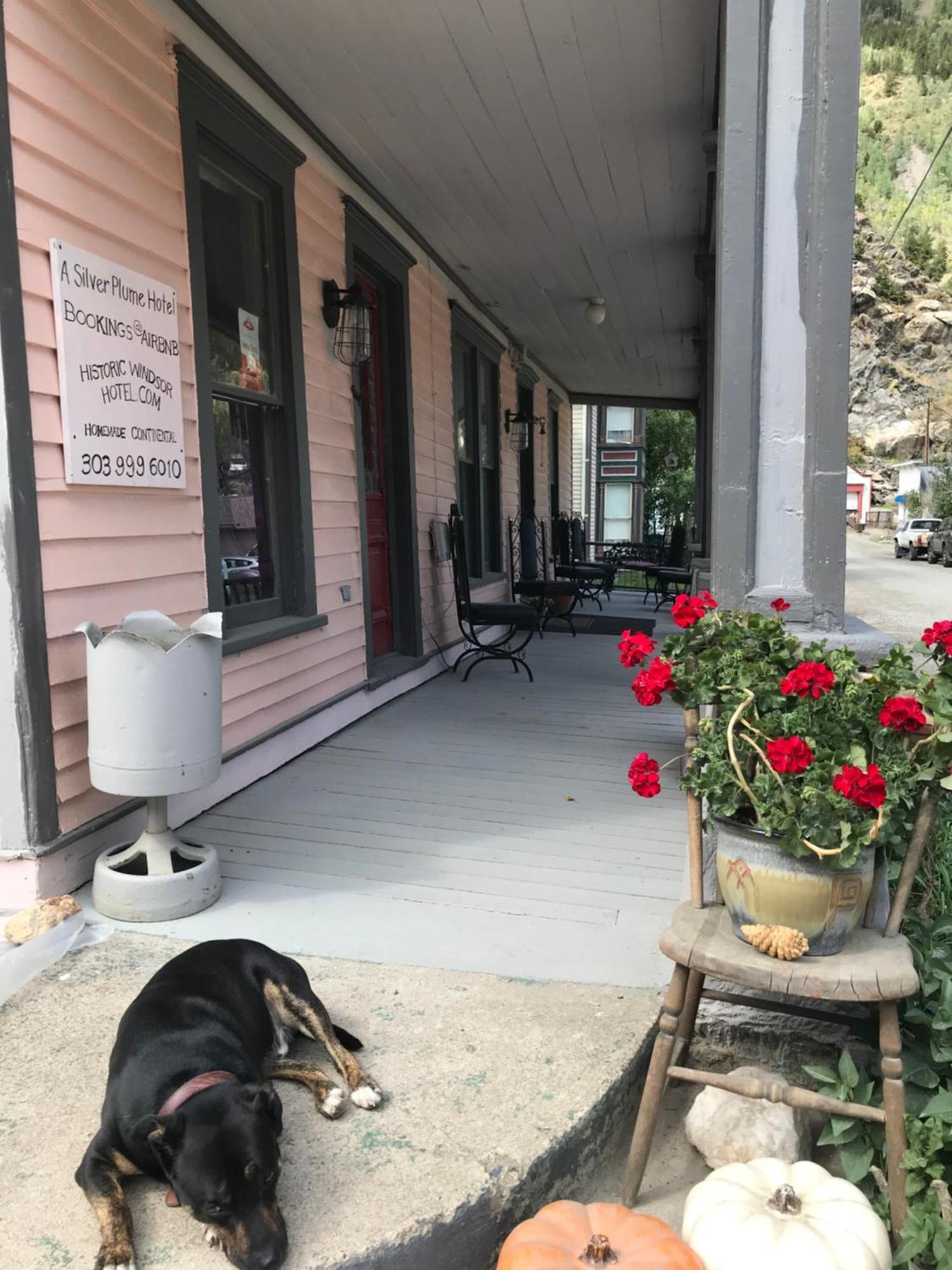 Historic Windsor Bed & Breakfast Silver Plume Dış mekan fotoğraf